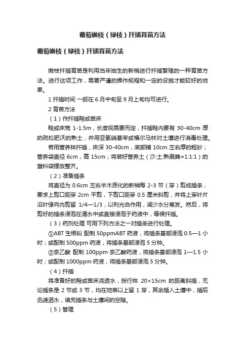 葡萄嫩枝（绿枝）扦插育苗方法