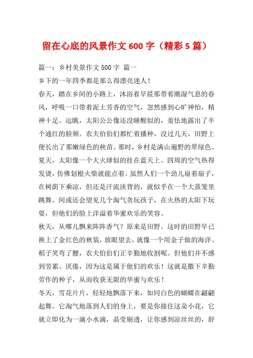 留在心底的风景作文600字(精彩5篇)