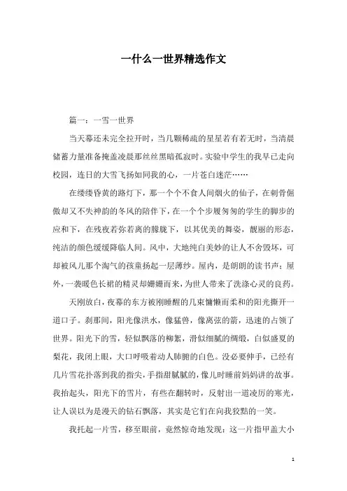 一什么一世界精选作文