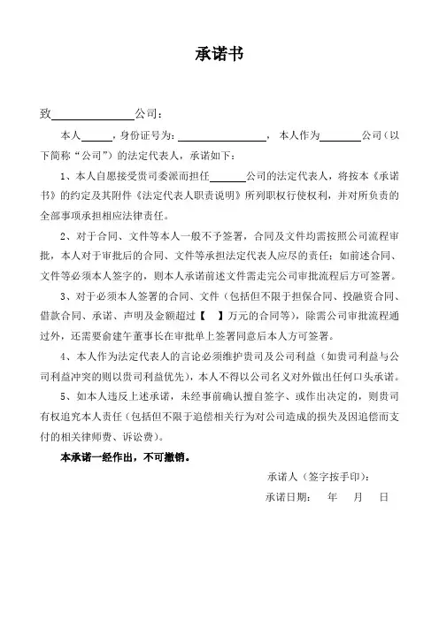 法定代表人承诺书及职责说明
