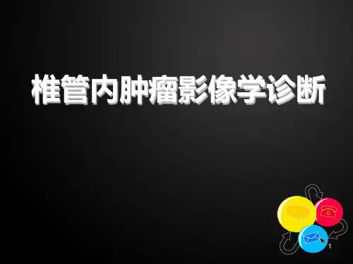椎管内肿瘤影像学诊断ppt课件