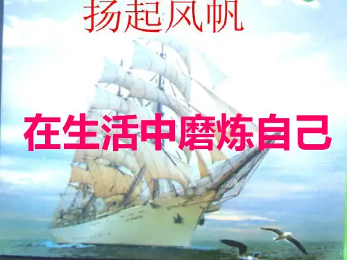 在生活中磨炼自己
