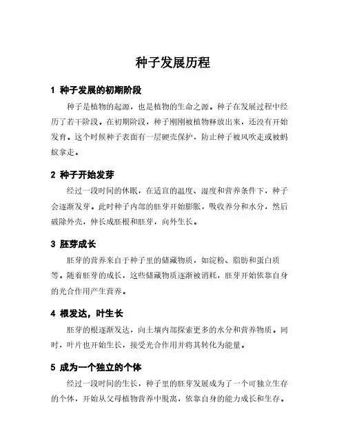 种子发展历程