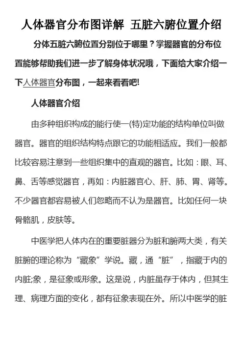 人体器官分布图详解 五脏六腑位置介绍