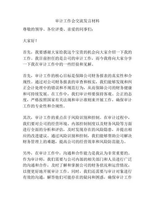 审计工作会交流发言材料