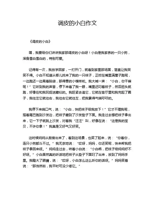 调皮的小白作文
