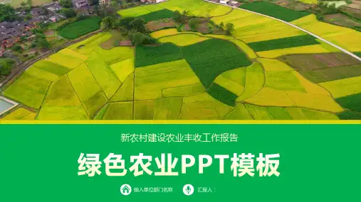 农产品节日活动方案PPT