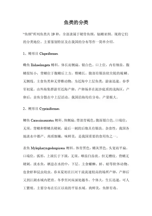 鱼类的分类——精选推荐