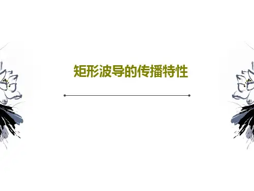 矩形波导的传播特性24页PPT