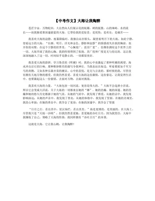 【中考作文】大海让我陶醉