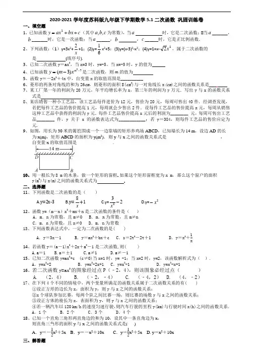5.1二次函数-苏科版九年级数学下册巩固训练