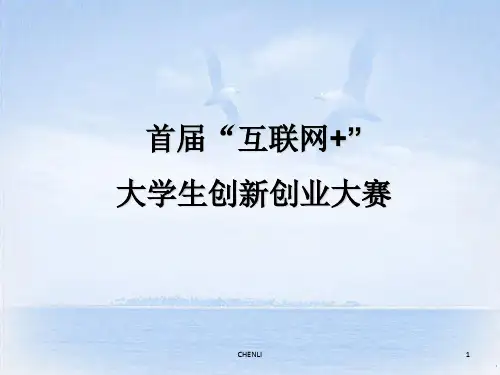 首届“互联网+”大学生创新创业大赛PPT课件