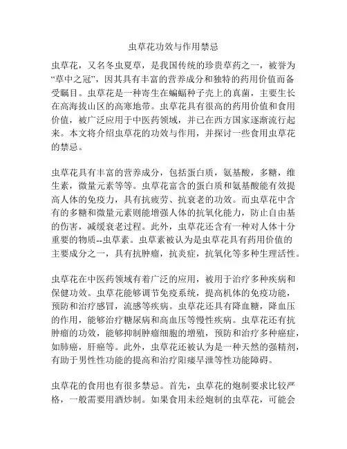 虫草花功效与作用禁忌