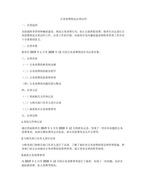 公务消费情况自查自纠