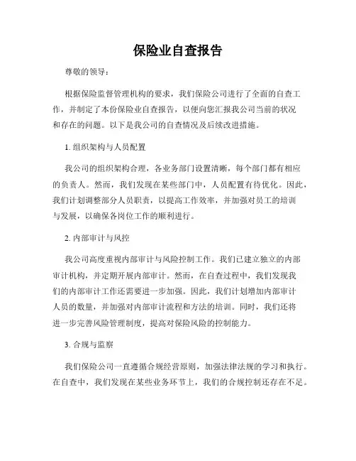 保险业自查报告