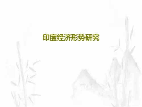印度经济形势研究34页PPT