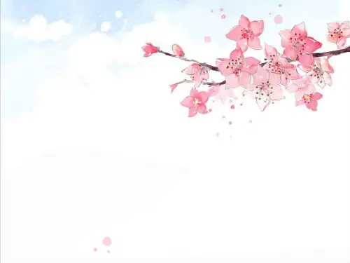 五年级人物描写习作课件精品PPT课件