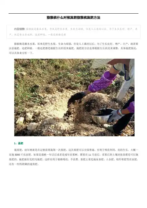 猕猴桃什么时候施肥猕猴桃施肥方法