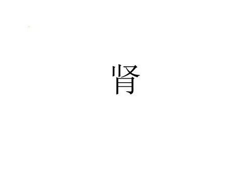 肾脏疾病影像诊断
