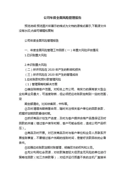公司年度全面风险管理报告