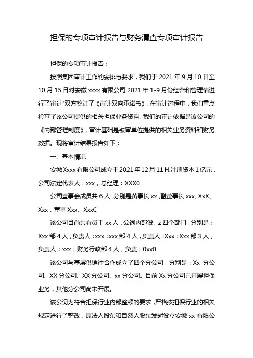 担保的专项审计报告与财务清查专项审计报告