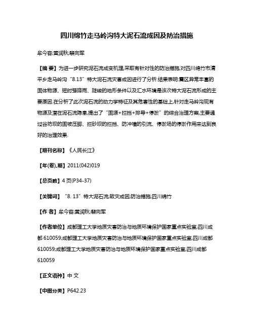 四川绵竹走马岭沟特大泥石流成因及防治措施