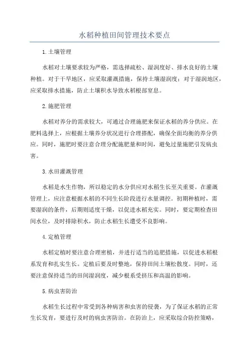 水稻种植田间管理技术要点
