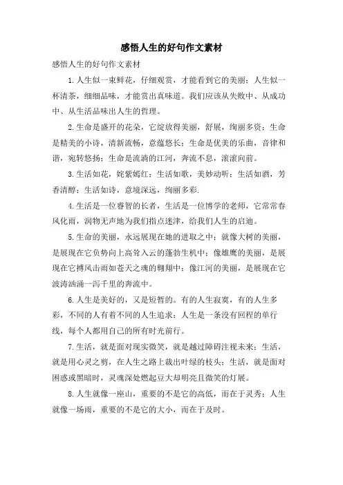 感悟人生的好句作文素材