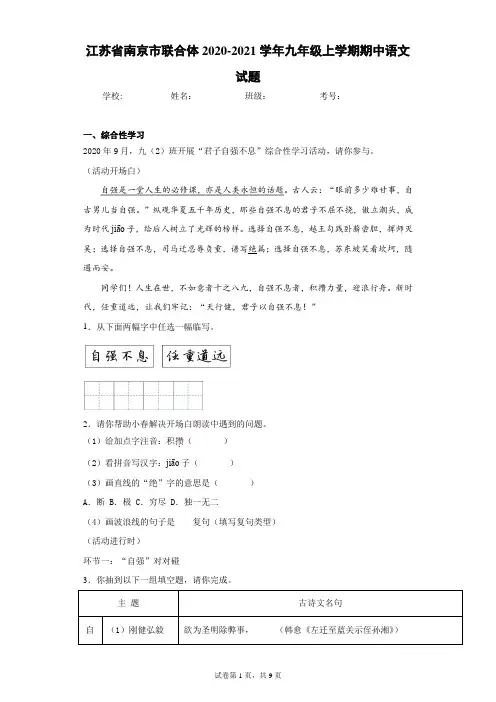 江苏省南京市联合体2020-2021学年九年级上学期期中语文试题(含答案解析)