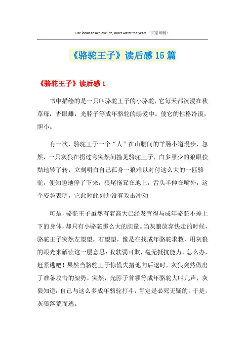 《骆驼王子》读后感15篇