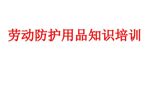 劳动防护用品培训