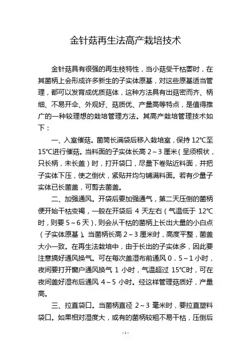 金针菇再生法高产栽培技术