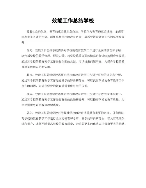 效能工作总结学校