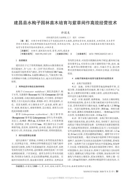 建昌县水栒子园林苗木培育与紫草间作高效经营技术