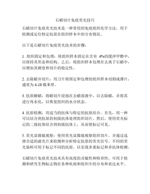 石蜡切片免疫荧光技巧