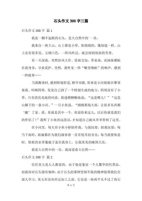 石头作文300字三篇