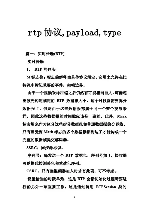 rtp协议,payload,type