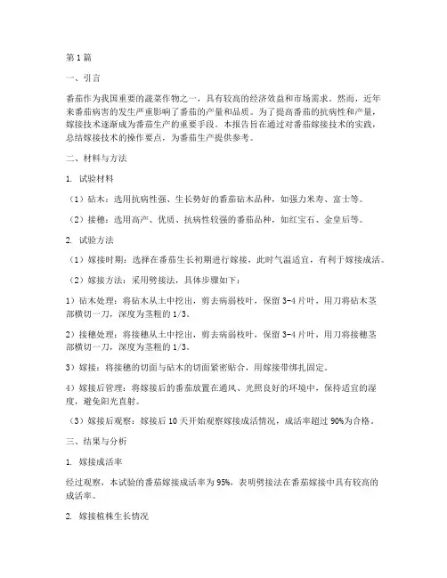 番茄的嫁接技术实践报告(2篇)