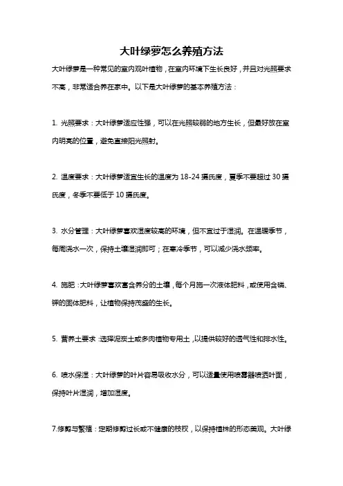 大叶绿萝怎么养殖方法