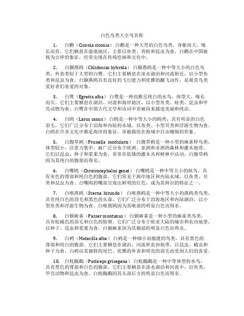 白色鸟类大全鸟名称