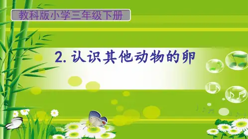 教科版小学三年级科学下册《认识其他动物的卵》名师教学课件