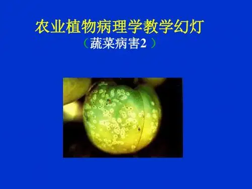 最新第五节  茄科蔬菜病毒病 普通农业植物病理学课件-药学医学精品资料