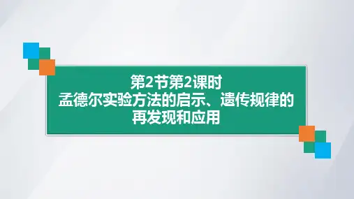 孟德尔实验方法的启示、遗传规律的再发现和应用(第2课时)(共24张PPT)