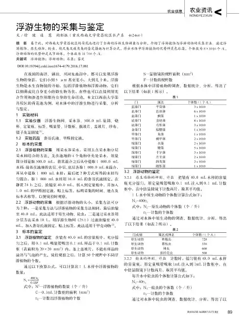 浮游生物的采集与鉴定