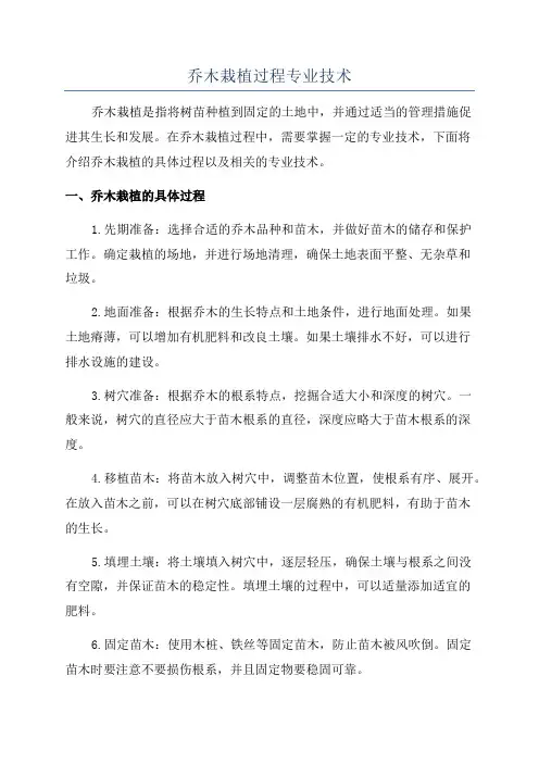 乔木栽植过程专业技术