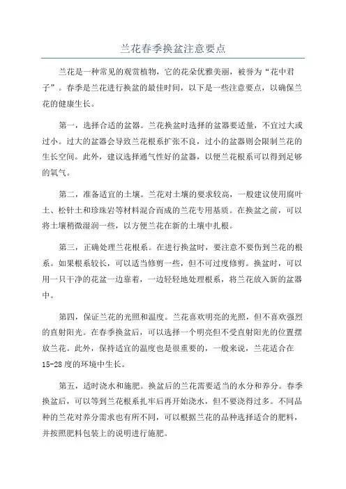 兰花春季换盆注意要点