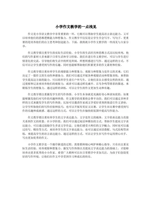 小学作文教学的一点浅见