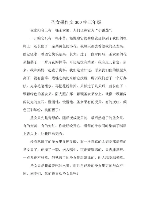 圣女果作文300字三年级