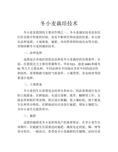 冬小麦栽培技术
