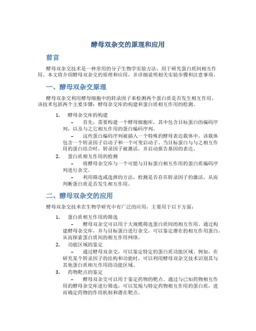 酵母双杂交的原理和应用